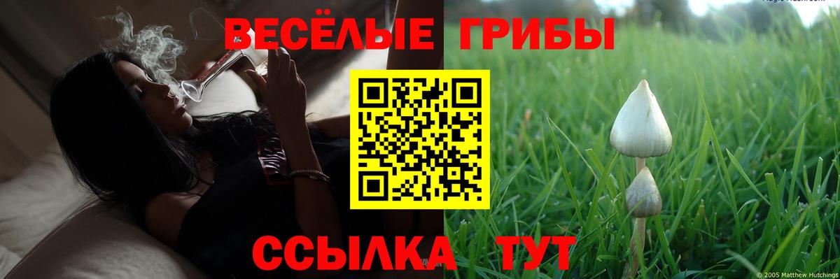 Галлюциногенные грибы мицелий  Галлюциногенные грибы Psilocybe  как найти закладки  Бутурлиновка  Вход с VPN 